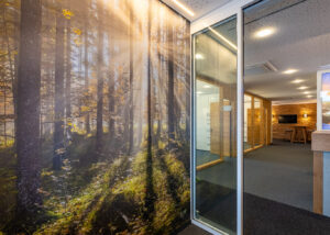 Prisma - Fototapete - Herbstlicher Wald bei Fall