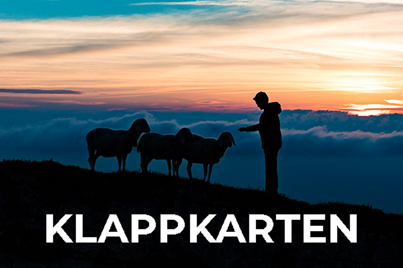 Guter Hirte - Schafe am Schafreuter