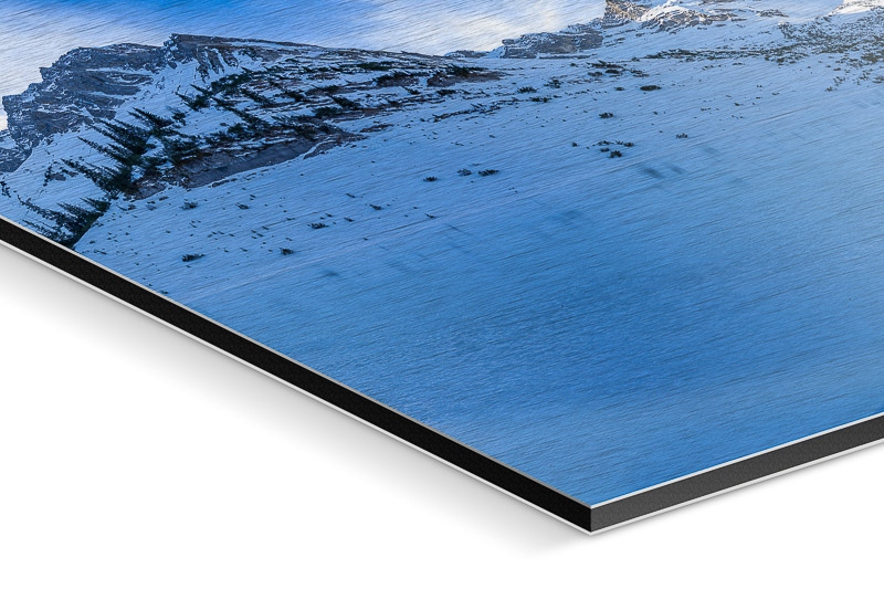 Alu-Dibond Butler Finish