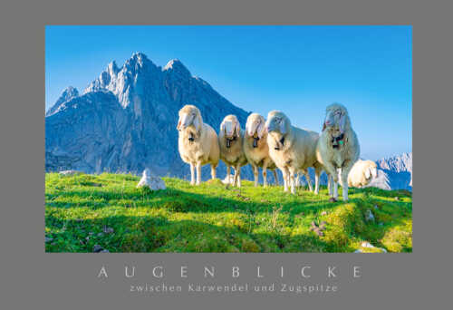 PO_Freundliche Weggefährten_01.tif-