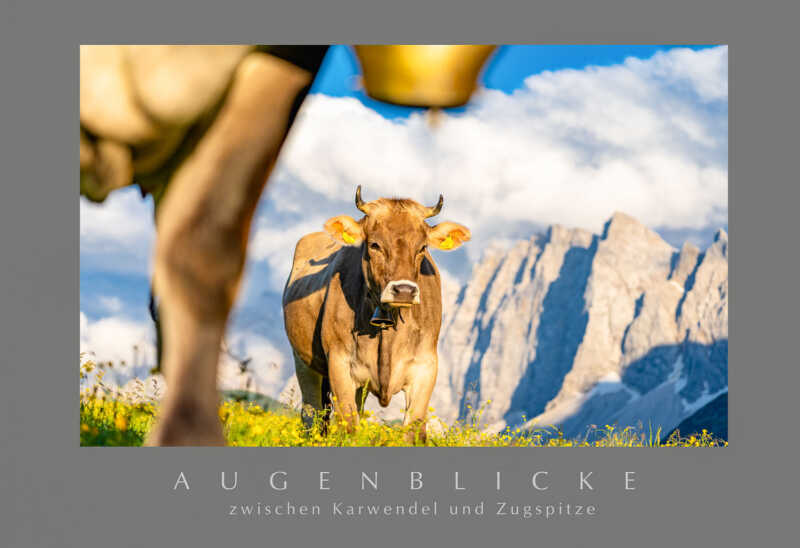 PO_Alpinealm_01.tif-