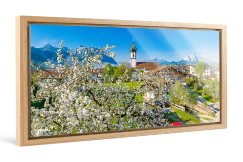Apfelblüte in Krün | Foto im Schattenfugen-Rahmen