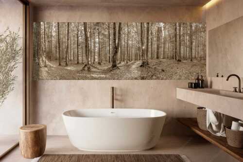Die Sonne spitzt durch den Buchenwald - Alles Buchen - Größe ca. 300x100cm, Seitenverhältnis 3:1 - Sonne im Wald - weitere Infos unter https://www.kriner-weiermann.de