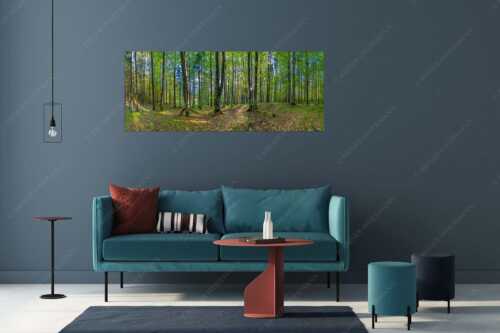 Die Sonne spitzt durch den Buchenwald - Alles Buchen - Größe ca. 175x70cm, Seitenverhältnis 2,5:1 - Sonne im Wald - weitere Infos unter https://www.kriner-weiermann.de
