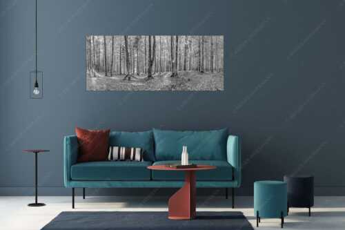Die Sonne spitzt durch den Buchenwald - Alles Buchen - Größe ca. 175x70cm, Seitenverhältnis 2,5:1 - Sonne im Wald - weitere Infos unter https://www.kriner-weiermann.de