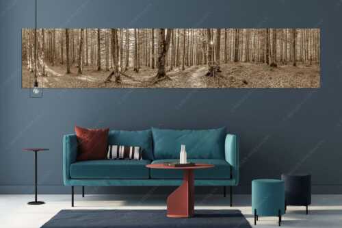 Die Sonne spitzt durch den Buchenwald - Alles Buchen - Größe ca. 350x70cm, Seitenverhältnis 5:1 - Sonne im Wald - weitere Infos unter https://www.kriner-weiermann.de