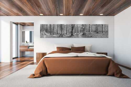 Die Sonne spitzt durch den Buchenwald - Alles Buchen - Größe ca. 300x60cm, Seitenverhältnis 5:1 - Sonne im Wald - weitere Infos unter https://www.kriner-weiermann.de