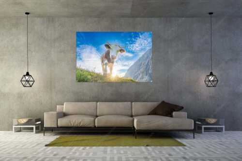 Jungvieh auf der Alm im Wettersteingebirge - Almsommermorgen III - Wandbild - Größe ca. 180x120cm, Seitenverhältnis 3:2 - Kuh im Wetterstein - weitere Infos unter https://www.kriner-weiermann.de