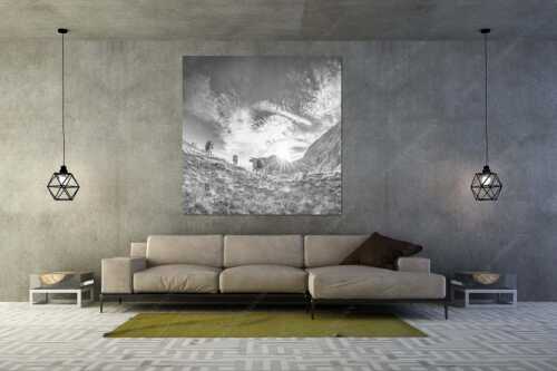Jungvieh am Kämisattel mit Sonnenaufgang am Zirbelkopf im Wettersteingebirge - Almsommermorgen - Größe ca. 160x160cm, Seitenverhältnis 1:1 - Rinder Kälber im Wetterstein - weitere Infos unter https://www.kriner-weiermann.de