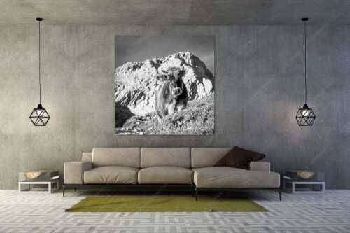 Jungvieh mit Hohen Gaifam Stuibensee im Wettersteingebirge - Alpin unterwegs - Größe ca. 160x160cm, Seitenverhältnis 1:1 - Kälber auf der Alm im Werdenfels - weitere Infos unter https://www.kriner-weiermann.de