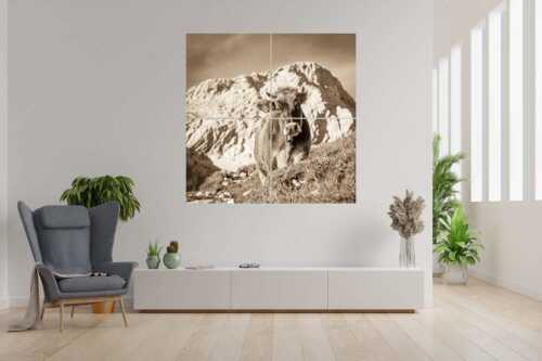 Jungvieh mit Hohen Gaifam Stuibensee im Wettersteingebirge - Alpin unterwegs - 4er Split, Größe ca. 180x180cm, Seitenverhältnis 1:1 - Kälber auf der Alm im Werdenfels - weitere Infos unter https://www.kriner-weiermann.de