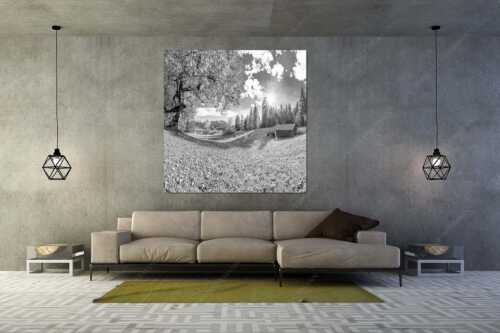 Ahorn am Barmsee mit Blick zum Karwendel - Alter Ahorn - Größe ca. 160x160cm, Seitenverhältnis 1:1 - Stadel am Barmsee mit Karwendel - weitere Infos unter https://www.kriner-weiermann.de