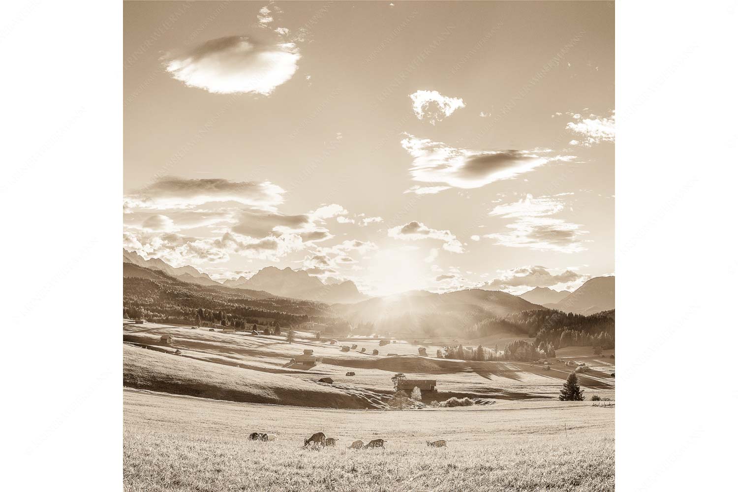 Am Tonihof – Seitenverhältnis 1:1 — Wetterstein und Estergebirge Blick in den Sonnenuntergang am Zugspitzmassiv