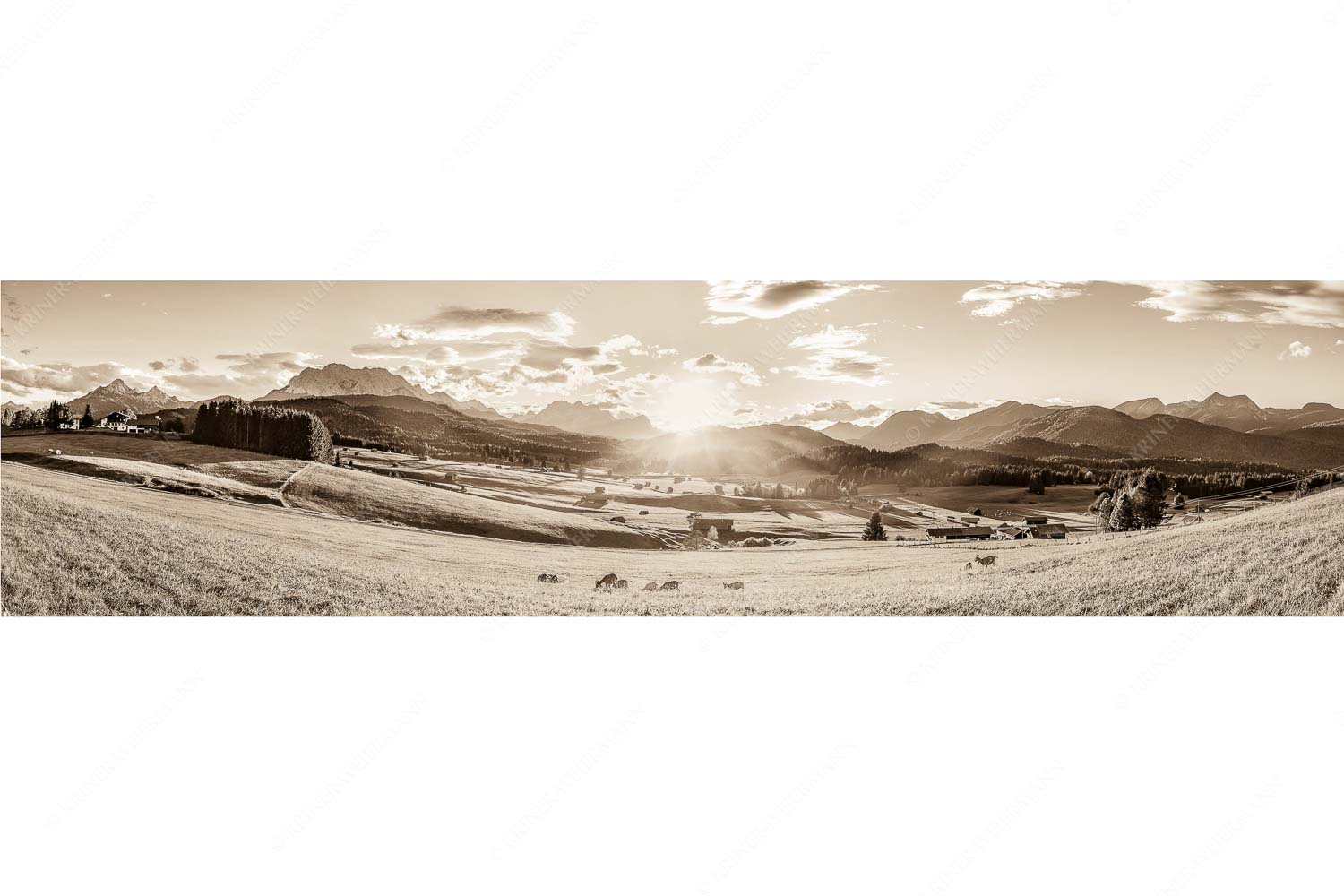 Am Tonihof – Seitenverhältnis 4:1 — Wetterstein und Estergebirge Blick in den Sonnenuntergang am Zugspitzmassiv