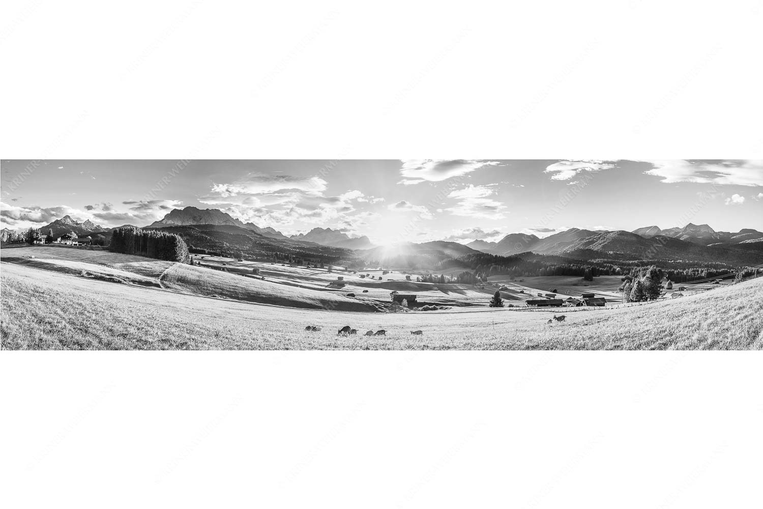 Am Tonihof – Seitenverhältnis 4:1 — Wetterstein und Estergebirge Blick in den Sonnenuntergang am Zugspitzmassiv