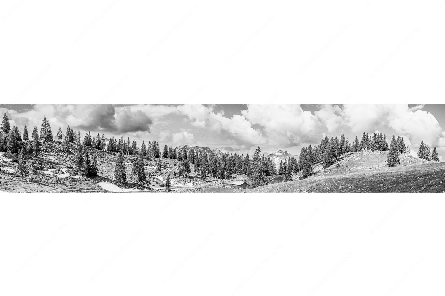 Blick von der Moosenalm zum Soierngebirge
