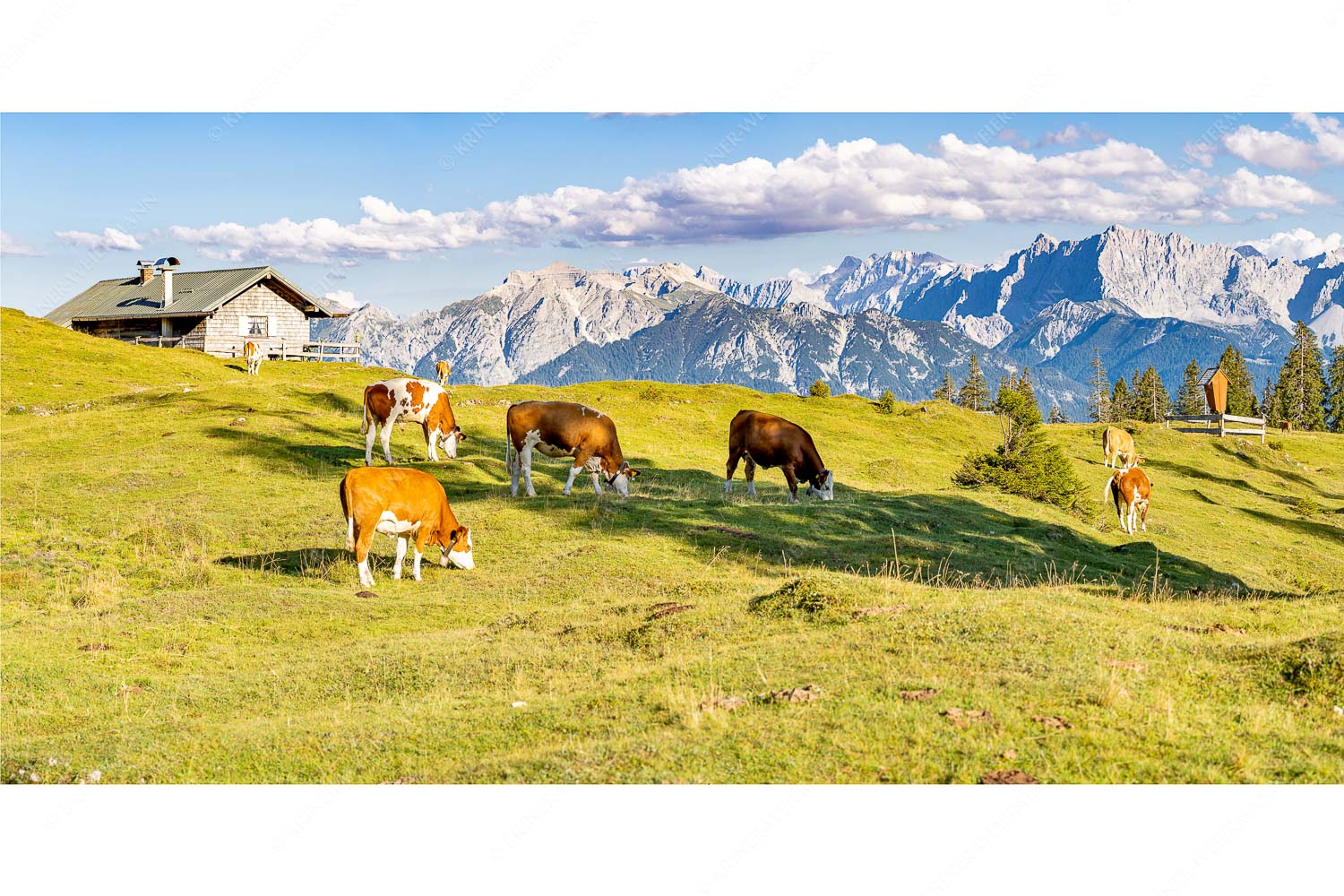 Blick über Krüneralm ins Karwendelgebirge