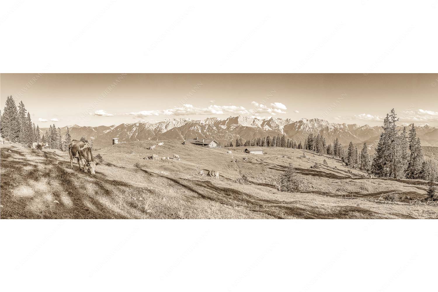 Blick über Krüneralm ins Karwendelgebirge
