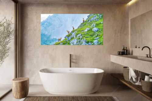 Junge Gams im Karwendel - Aufgereiht - Größe ca. 180x90cm, Seitenverhältnis 2:1 - Gämsen im Karwendelgebirge - weitere Infos unter https://www.kriner-weiermann.de