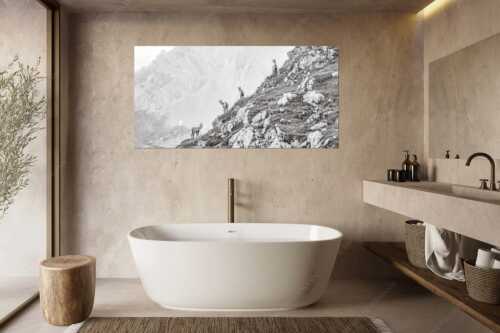 Junge Gams im Karwendel - Aufgereiht - Größe ca. 180x90cm, Seitenverhältnis 2:1 - Gämsen im Karwendelgebirge - weitere Infos unter https://www.kriner-weiermann.de