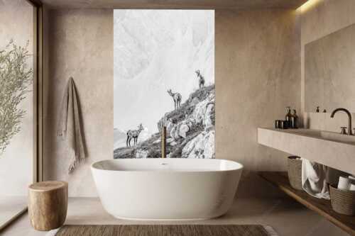 Junge Gams im Karwendel - Aufgereiht - Größe ca. 160x240cm, Seitenverhältnis 2:3 - Gämsen im Karwendelgebirge - weitere Infos unter https://www.kriner-weiermann.de
