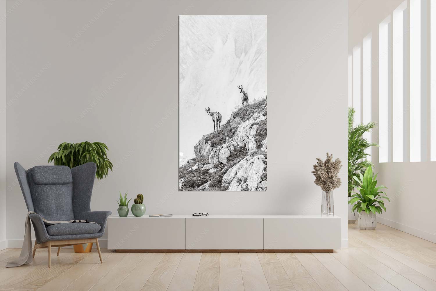 Aufgereiht – Größe ca. 90x180cm, Seitenverhältnis 1:2 — Gämsen im Karwendelgebirge Junge Gams im Karwendel - Aufgereiht - Größe ca. 90x180cm, Seitenverhältnis 1:2 - Gämsen im Karwendelgebirge - weitere Infos unter https://www.kriner-weiermann.de