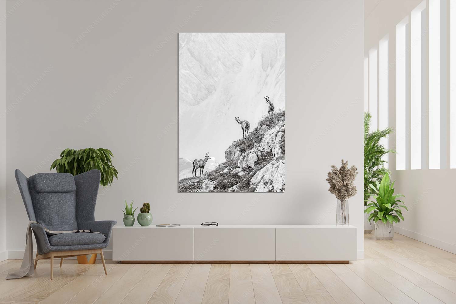 Aufgereiht – Größe ca. 120x180cm, Seitenverhältnis 2:3 — Gämsen im Karwendelgebirge Junge Gams im Karwendel - Aufgereiht - Größe ca. 120x180cm, Seitenverhältnis 2:3 - Gämsen im Karwendelgebirge - weitere Infos unter https://www.kriner-weiermann.de