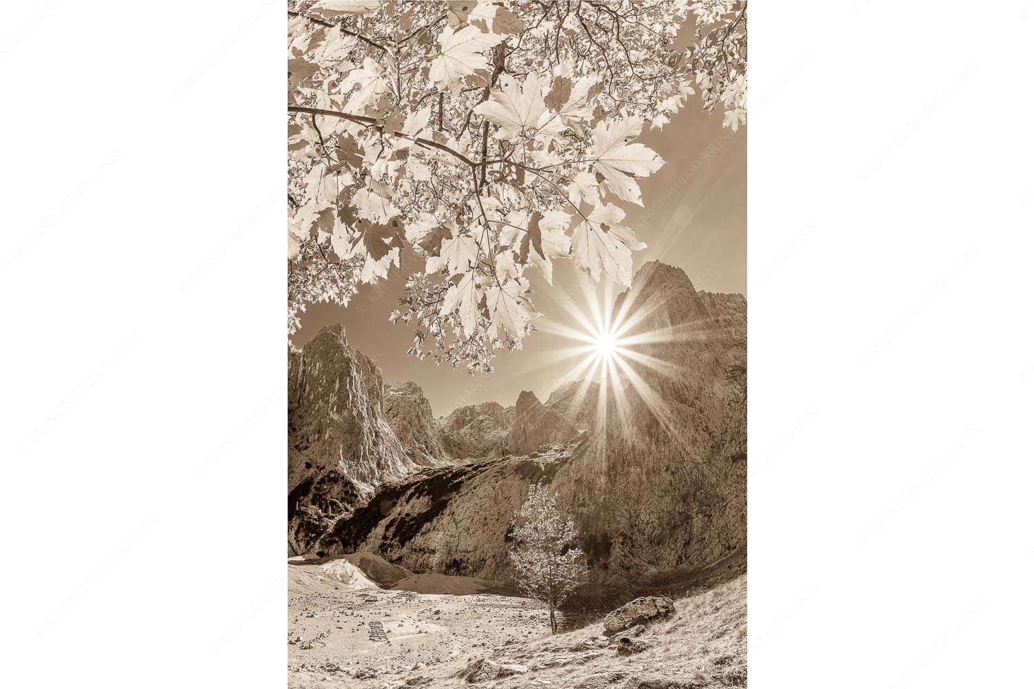 Bald kommt der Herbst – Seitenverhältnis 2:3 — Oberreintal im Wetterstein Die Sonne verschwindet am Oberreintalturm