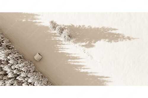Bäume, Stadel und Schatten - Baumgrenze - Seitenverhältnis 2:1 - Schatten im Schnee - weitere Infos unter https://www.kriner-weiermann.de