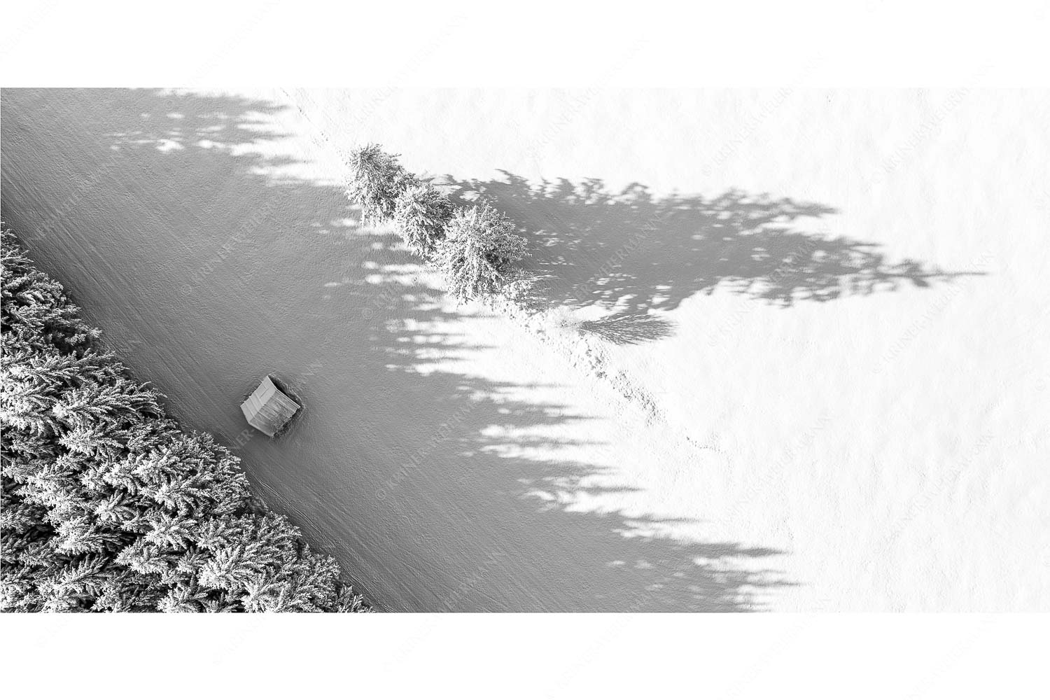 Baumgrenze – Seitenverhältnis 2:1 — Schatten im Schnee Bäume, Stadel und Schatten