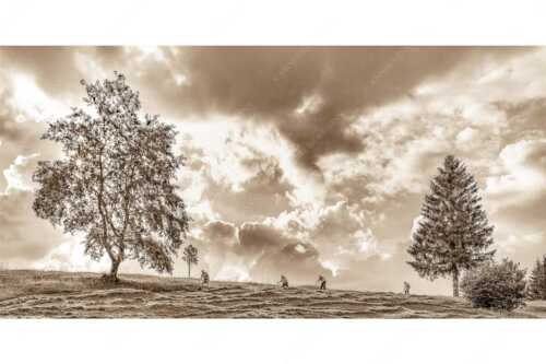 Vier Wiesmahtsleut auf den Buckelwiesen bei der Arbeit - Bei der Wiesmaht - Seitenverhältnis 2:1 - Heuernte auf Buckelwiesen - weitere Infos unter https://www.kriner-weiermann.de