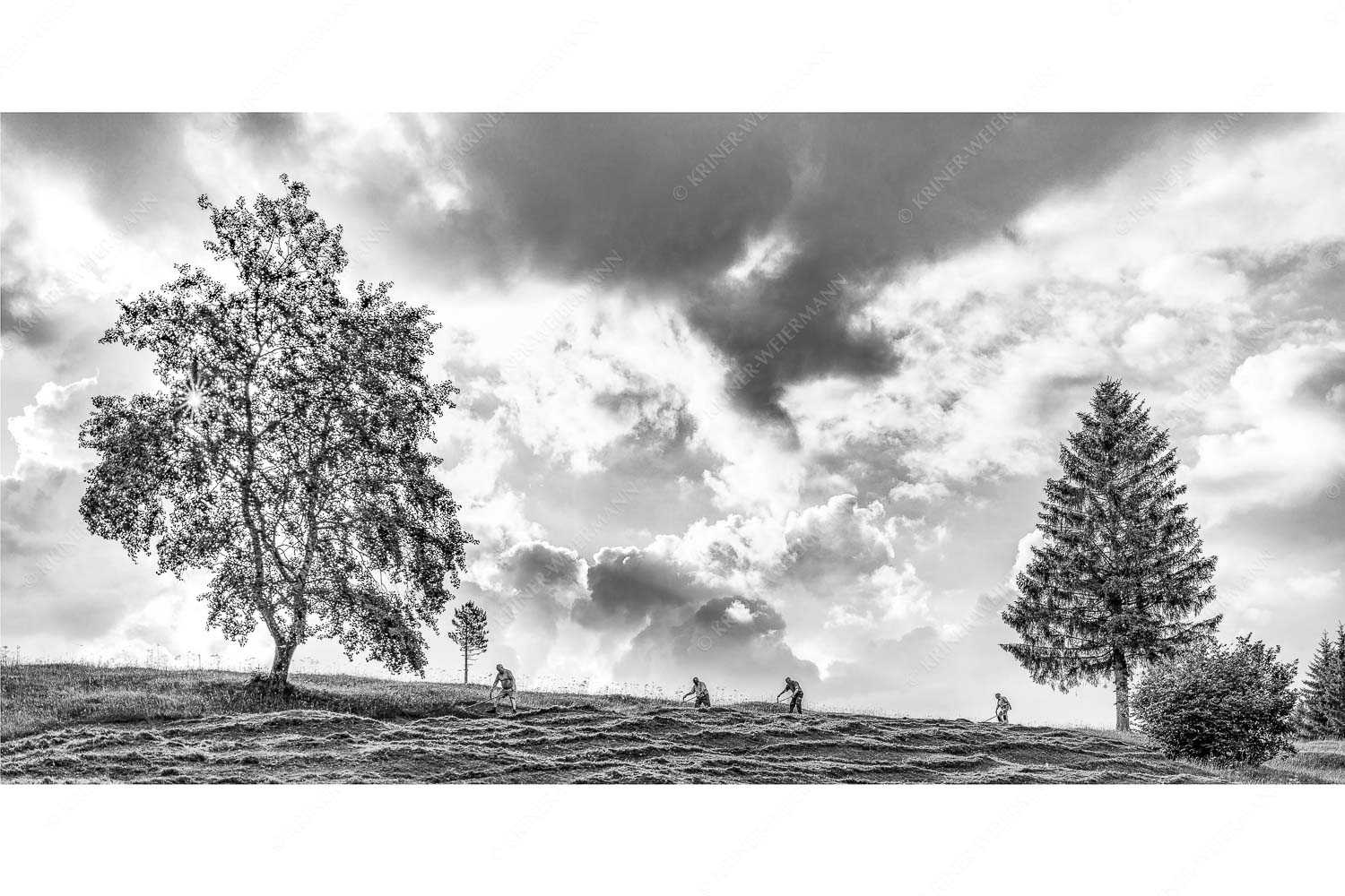 Vier Wiesmahtsleut auf den Buckelwiesen bei der Arbeit - Bei der Wiesmaht - Seitenverhältnis 2:1 - Heuernte auf Buckelwiesen - weitere Infos unter https://www.kriner-weiermann.de
