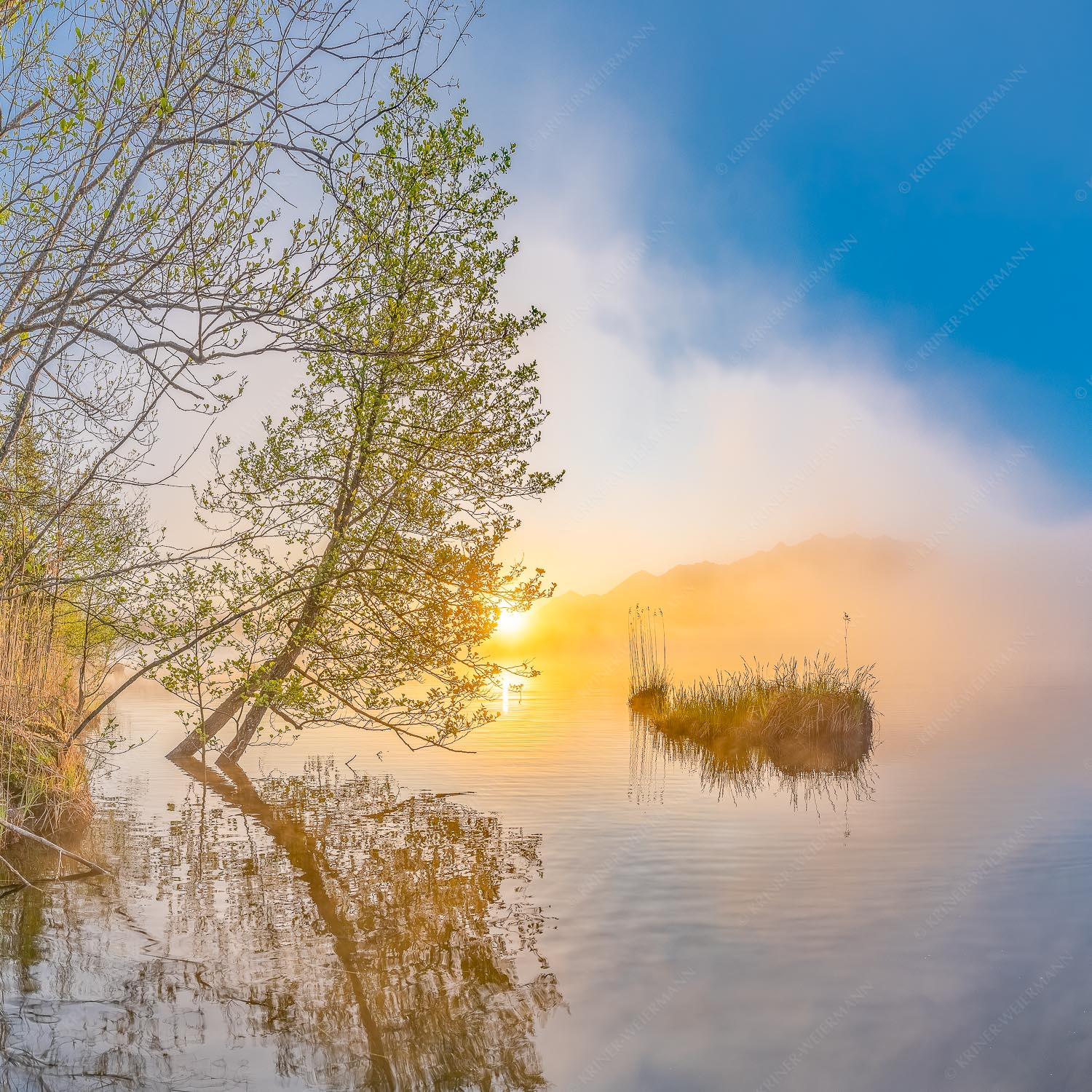 Sonnenaufgang am Barmsee - Benebelt - Barmsee - weitere Infos bei <a href="https://www.kriner-weiermann.de">Kriner-Weiermann.de</a>
