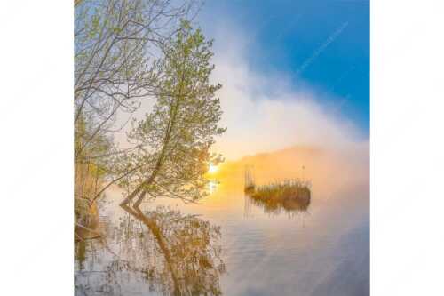 Sonnenaufgang am Barmsee - Benebelt - Seitenverhältnis 1:1 - Morgenstimmung am Barmsee - weitere Infos unter https://www.kriner-weiermann.de