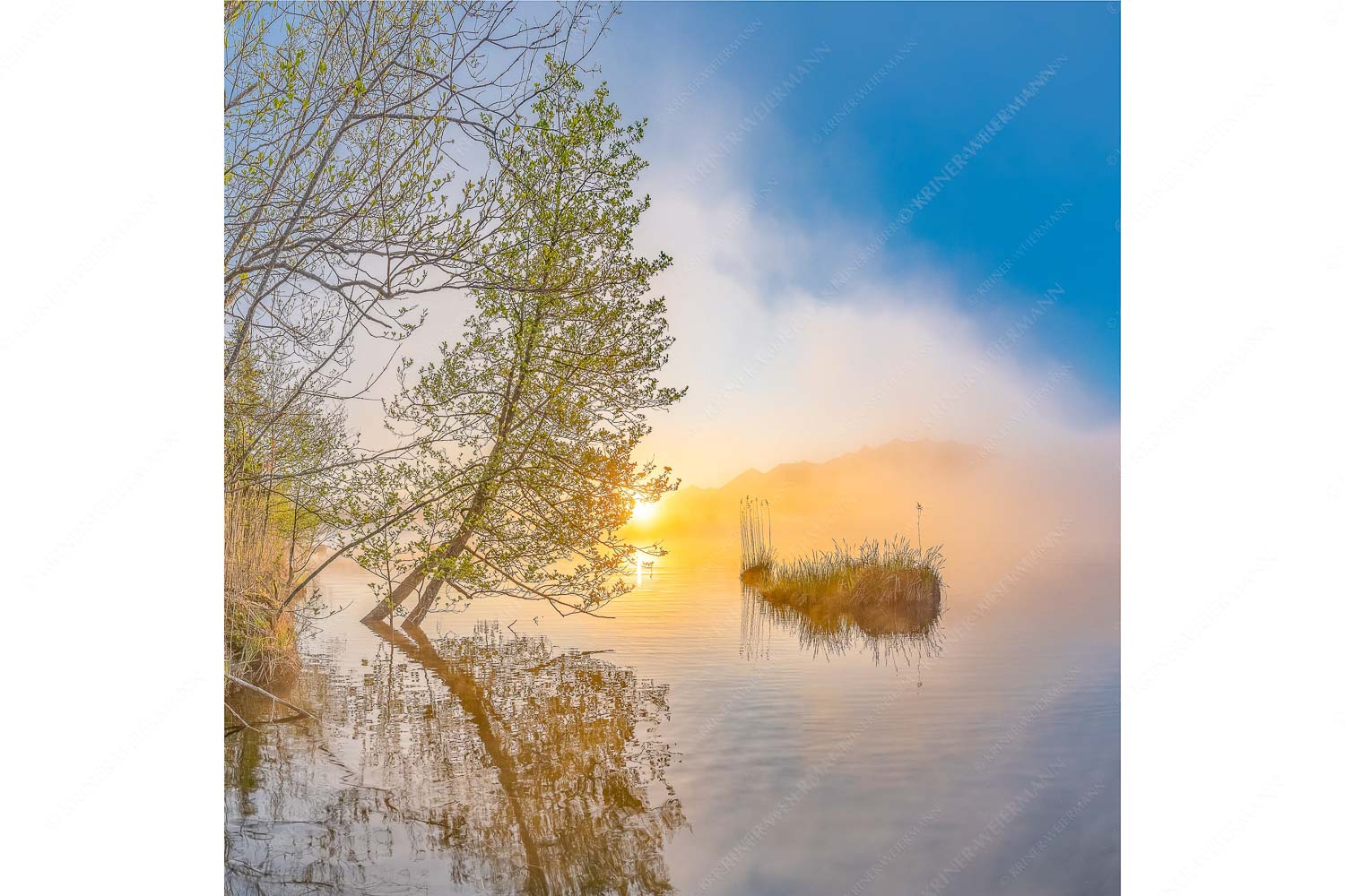 Sonnenaufgang am Barmsee