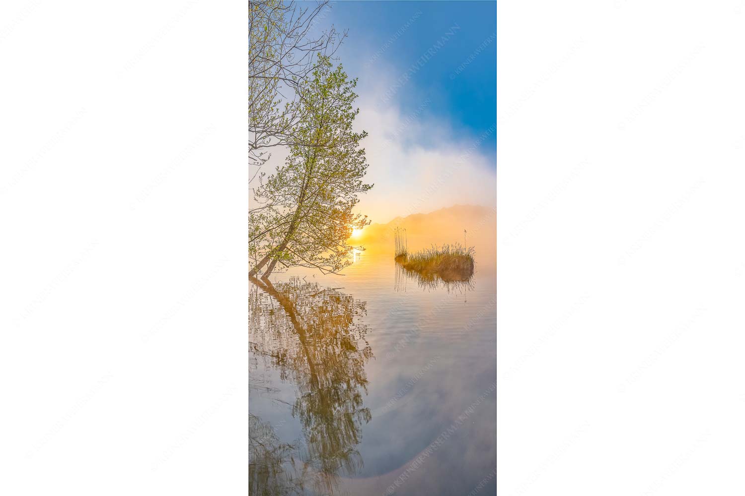 Benebelt – Seitenverhältnis 1:2 — Morgenstimmung am Barmsee Sonnenaufgang am Barmsee