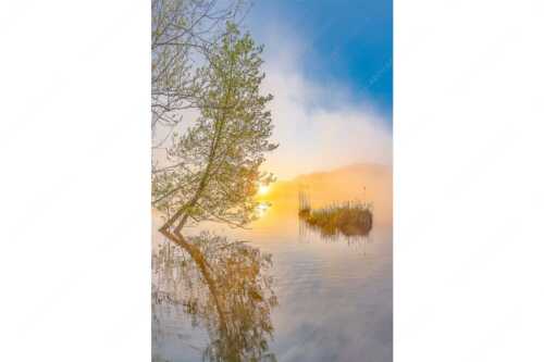 Sonnenaufgang am Barmsee - Benebelt - Seitenverhältnis 2:3 - Morgenstimmung am Barmsee - weitere Infos unter https://www.kriner-weiermann.de