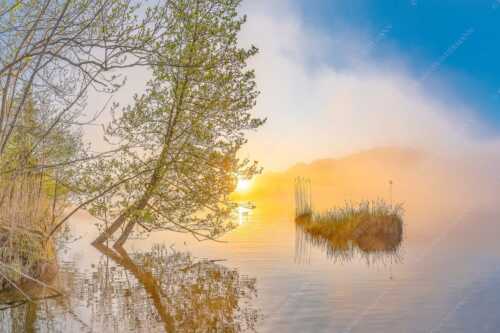 Sonnenaufgang am Barmsee - Benebelt - Seitenverhältnis 3:2 - Morgenstimmung am Barmsee - weitere Infos unter https://www.kriner-weiermann.de