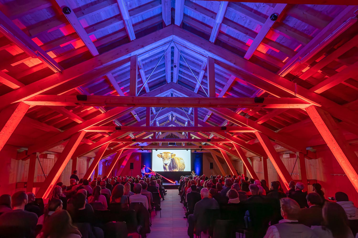Wunderbarer Konzertabend - Bergwelten in Concert - Stiftung Kunst und Natur Nantesbuch