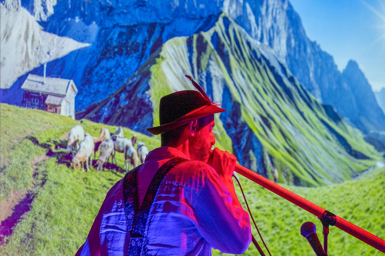 Wunderbarer Konzertabend - Bergwelten in Concert - Stiftung Kunst und Natur Nantesbuch