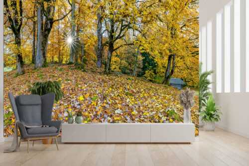 Herbstlaub am Wamberg - Bladlan - Größe ca. 300x200cm, Seitenverhältnis 3:2 - Herbstliche Ahornblätter am Wamberg - weitere Infos unter https://www.kriner-weiermann.de