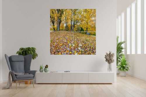 Herbstlaub am Wamberg - Bladlan - 4er Split, Größe ca. 180x180cm, Seitenverhältnis 1: - Herbstliche Ahornblätter am Wamberg - weitere Infos unter https://www.kriner-weiermann.de