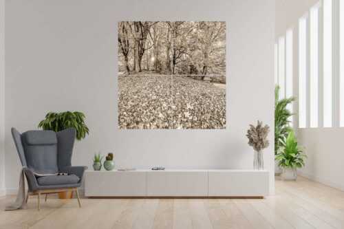 Herbstlaub am Wamberg - Bladlan - 4er Split, Größe ca. 180x180cm, Seitenverhältnis 1: - Herbstliche Ahornblätter am Wamberg - weitere Infos unter https://www.kriner-weiermann.de