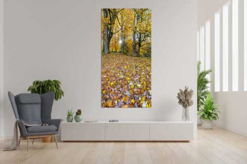 Herbstlaub am Wamberg - Bladlan - Größe ca. 90x180cm, Seitenverhältnis 1:2 - Herbstliche Ahornblätter am Wamberg - weitere Infos unter https://www.kriner-weiermann.de