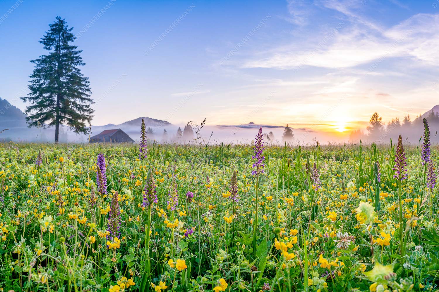 Erstes Licht auf das Wiesmaht bei Sonnenaufgang