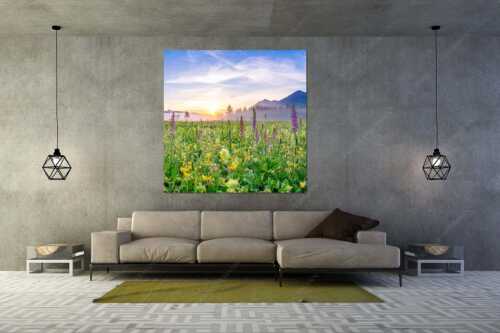 Erstes Licht auf das Wiesmaht bei Sonnenaufgang - Blumenpracht - Größe ca. 160x160cm, Seitenverhältnis 1:1 - Üppige Blumenwiese mit Orchideen bei Wallgau - weitere Infos unter https://www.kriner-weiermann.de