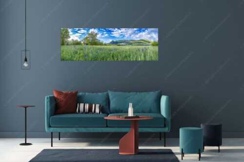 Zwischen Oberammergau und Unterammergau erblühen im Frühsommer unzählige Schwertlilien - Bunte Schwerter - Größe ca. 175x70cm, Seitenverhältnis 2,5:1 - Schwertlilien in Oberammergau - weitere Infos unter https://www.kriner-weiermann.de