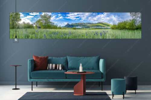 Zwischen Oberammergau und Unterammergau erblühen im Frühsommer unzählige Schwertlilien - Bunte Schwerter - Größe ca. 350x70cm, Seitenverhältnis 5:1 - Schwertlilien in Oberammergau - weitere Infos unter https://www.kriner-weiermann.de