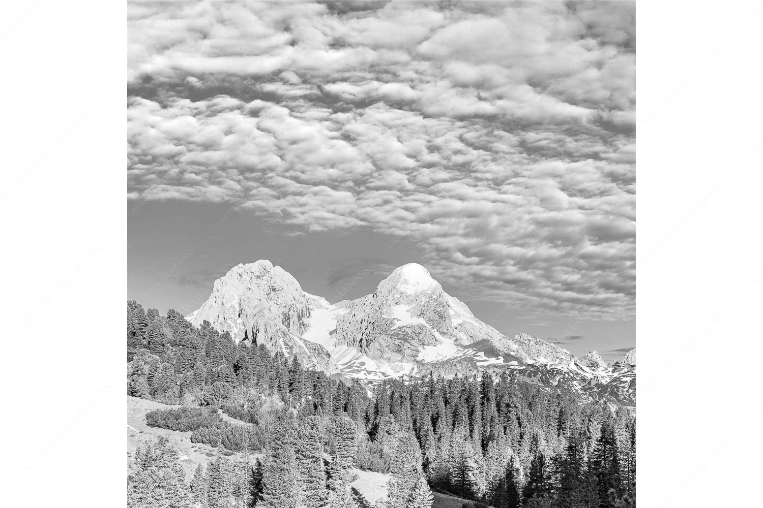 Der höhere Unscheinbare – Seitenverhältnis 1:1 — Hochblassen und Alpspitze Blick über Schachenschloss zum Hochblassen und Alpspitze im Wettersteingebirge