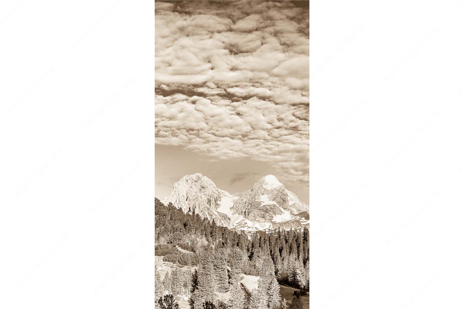 Der höhere Unscheinbare – Seitenverhältnis 1:2 — Hochblassen und Alpspitze Blick über Schachenschloss zum Hochblassen und Alpspitze im Wettersteingebirge